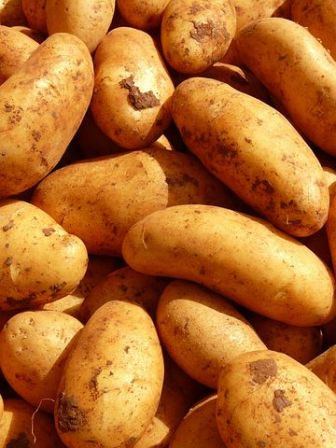 potatoes-5796__480