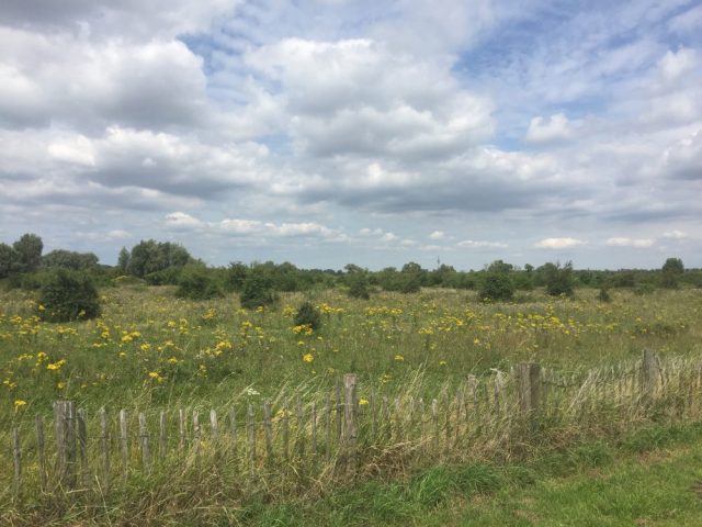 Hardlopen op zaterdag