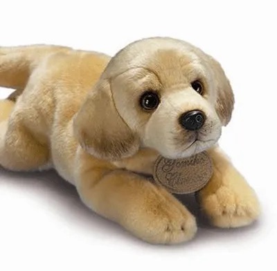 Blonde Hond op zondag: 18 maart gemeenteraadsverkiezingen